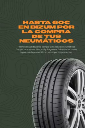 Hasta 60€ en Bizum por la compra de tus neumáticos
